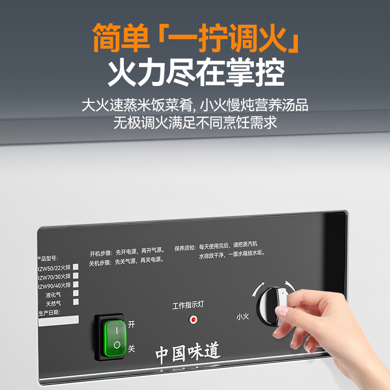 麦大厨RG系列120W燃气工程款双门蒸柜220V