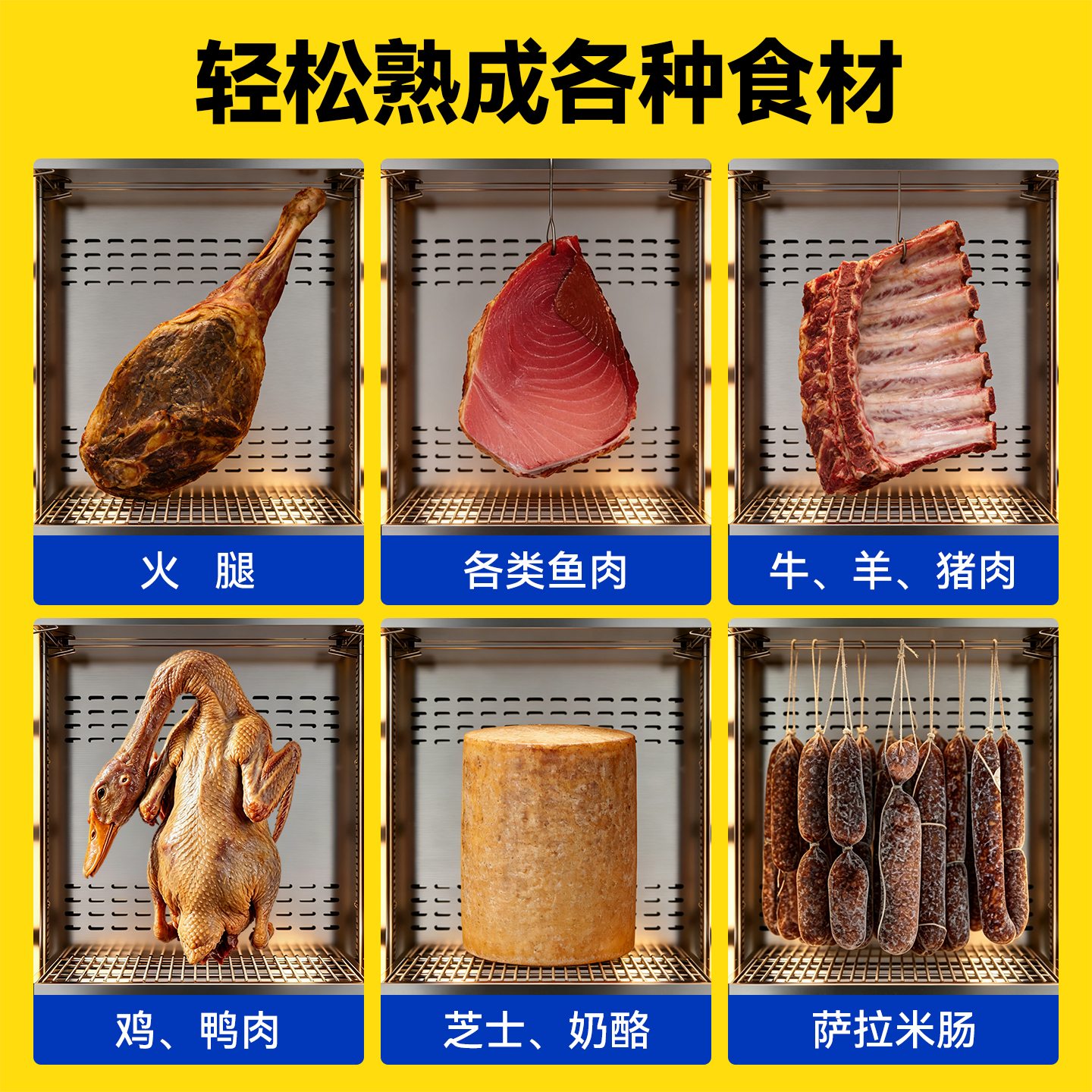 麦大厨豪华款单门冷藏干湿两用熟成柜380L